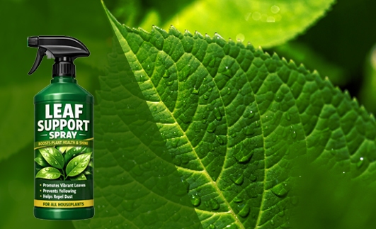 Leaf Support Spray